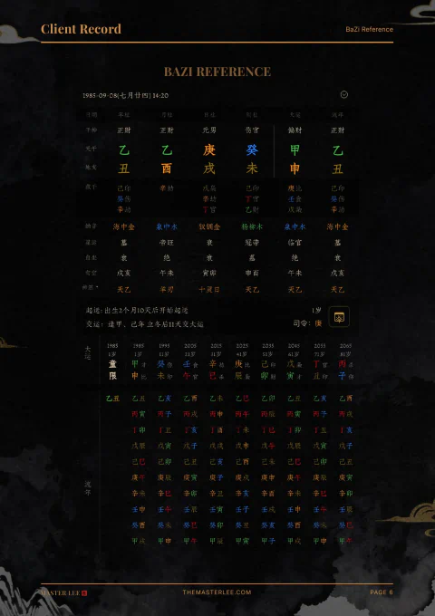 BaZi reference chart in a Life Architecture sample report