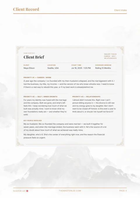 Client brief in a 12-Month Strategy sample report